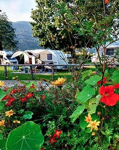 Camping Lugano Lake