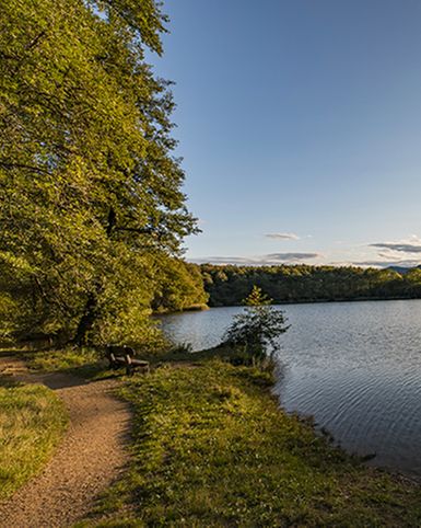 Sentiero Lago di Origlio
