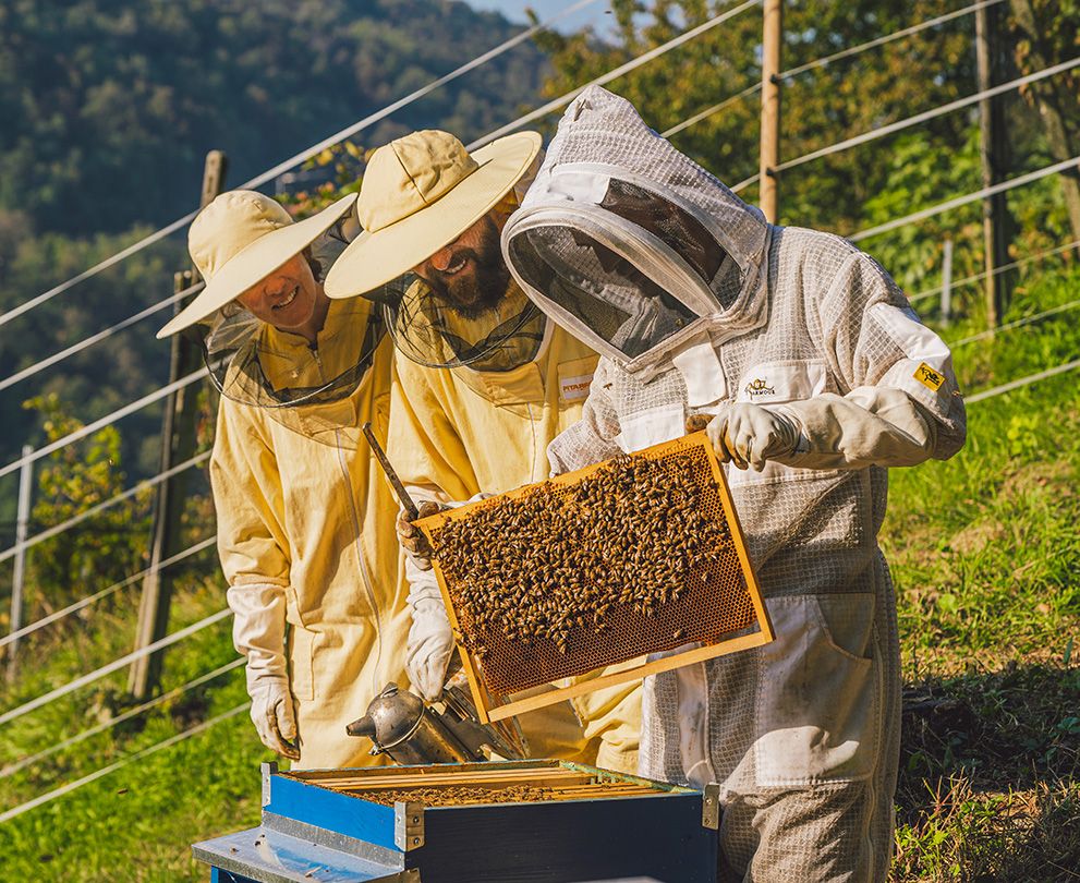 Attività con animali