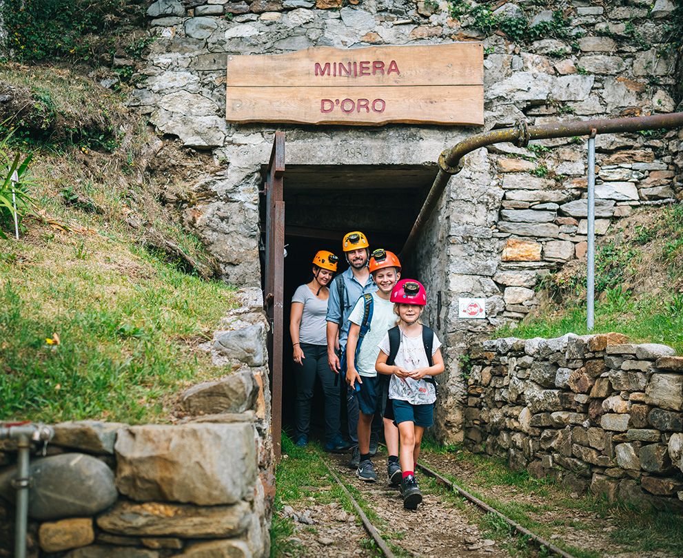 Attività e attrazioni